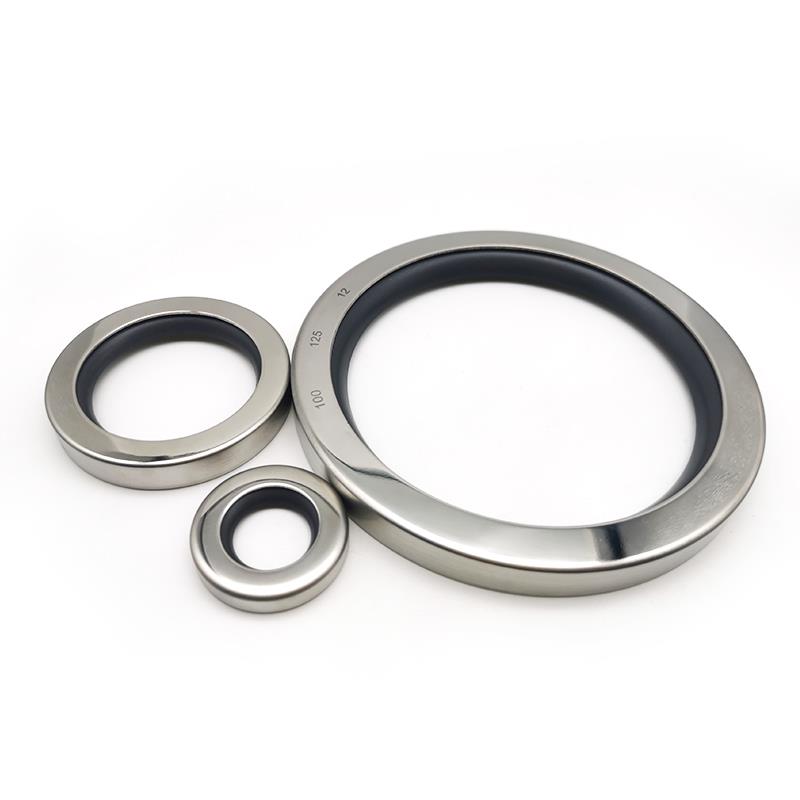 四氟不銹鋼骨架油封