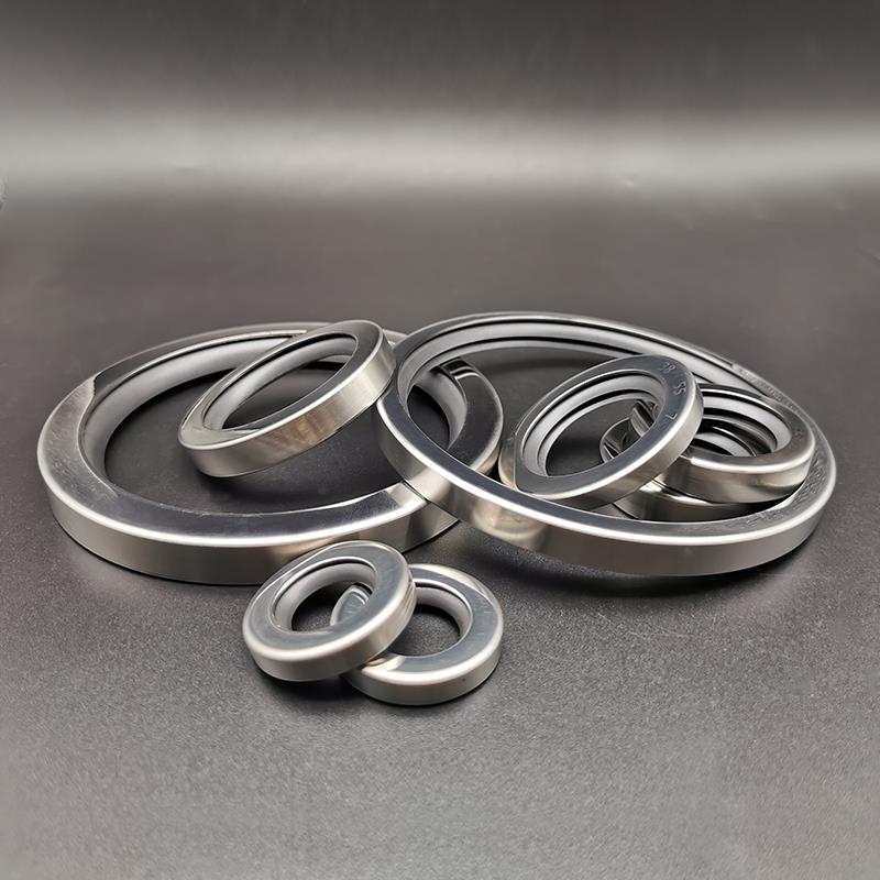 空壓機(jī)骨架油封 不銹鋼骨架油封 耐高壓四氟不銹鋼油封