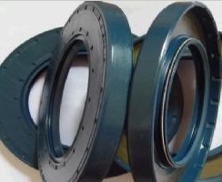 CFW骨架油封 優(yōu)質(zhì)骨架密封件 德國品牌油封現(xiàn)貨